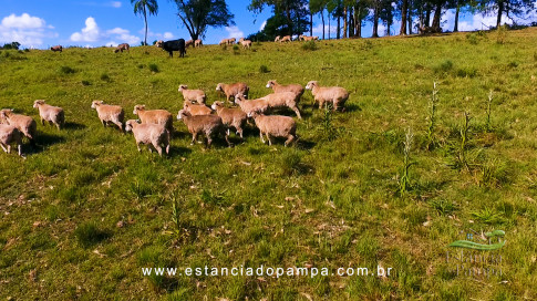 Gilberto Monteiro - Pra ti guria [VDownloader].00_00_23_07.Quadro003_6fa9e103f831145eb6d6a98b40dc1172337fefc4.jpg